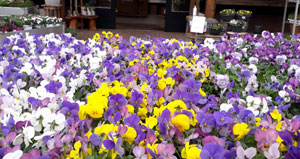 April